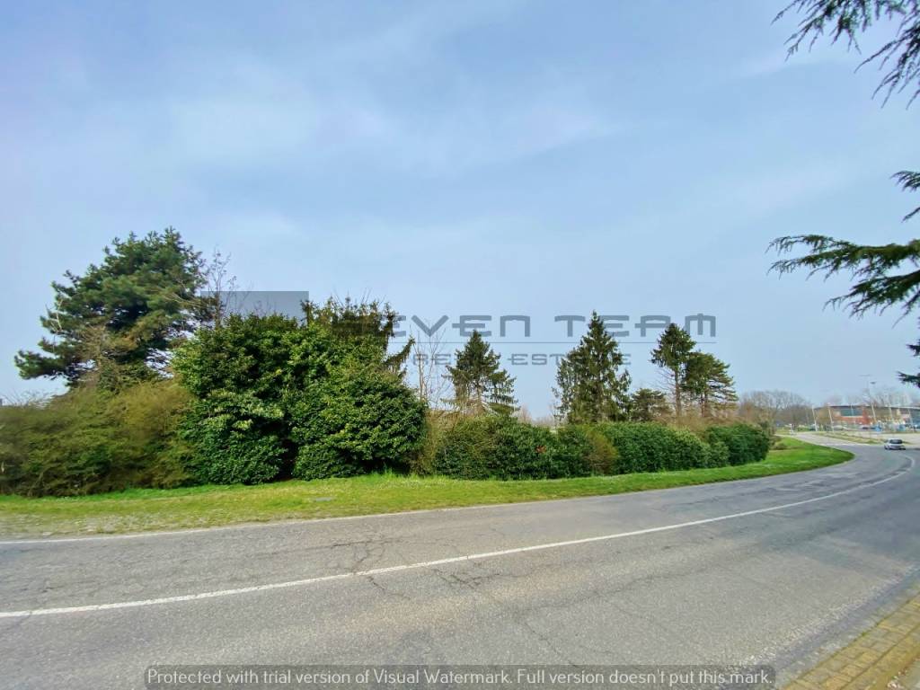 immagine annuncio 4 di 9