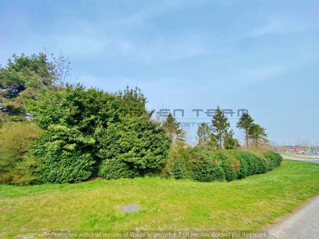 immagine annuncio 5 di 9