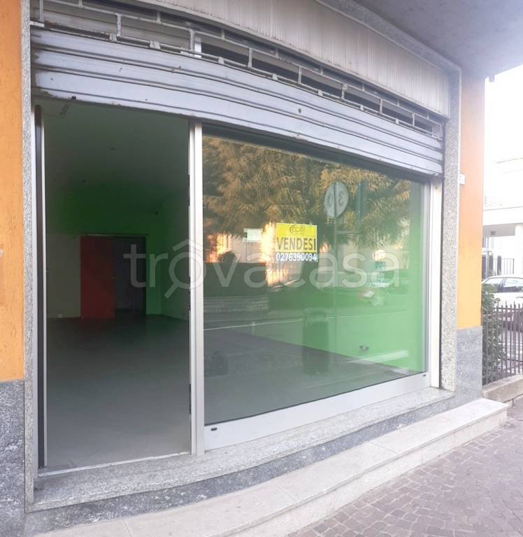 immagine annuncio 8 di 15