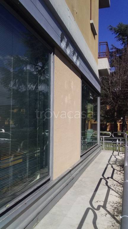 immagine annuncio 3 di 6