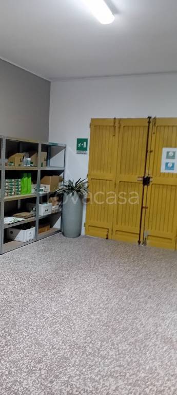 immagine annuncio 2 di 7