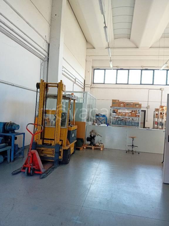 immagine annuncio 2 di 9