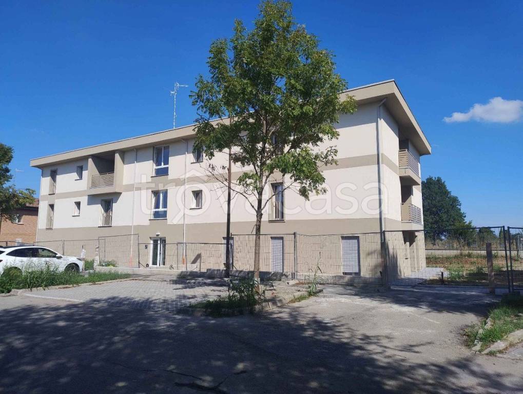 immagine annuncio 4 di 8