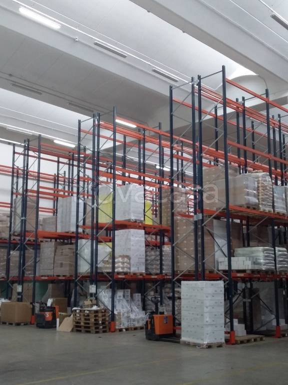 immagine annuncio 2 di 7