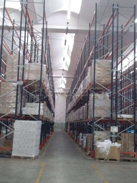 immagine annuncio 3 di 7