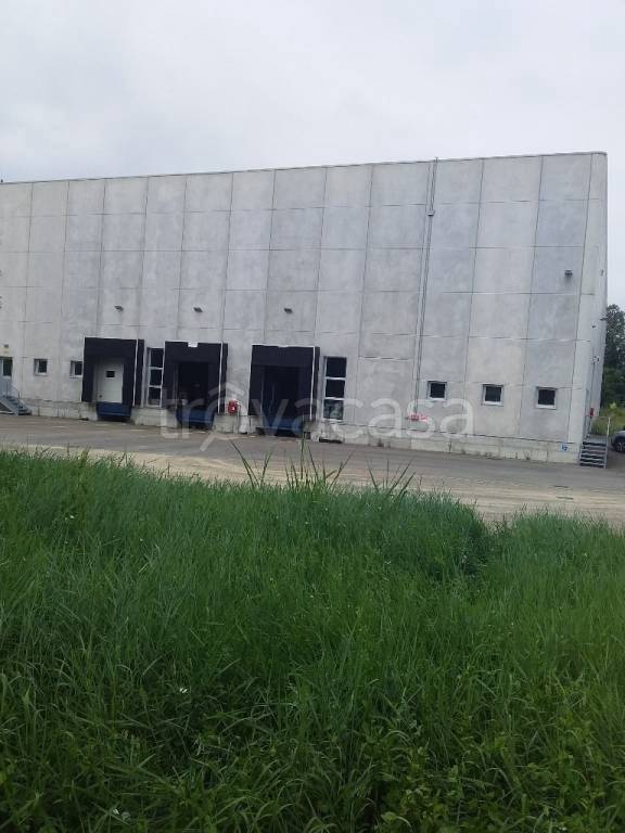 immagine annuncio 4 di 7