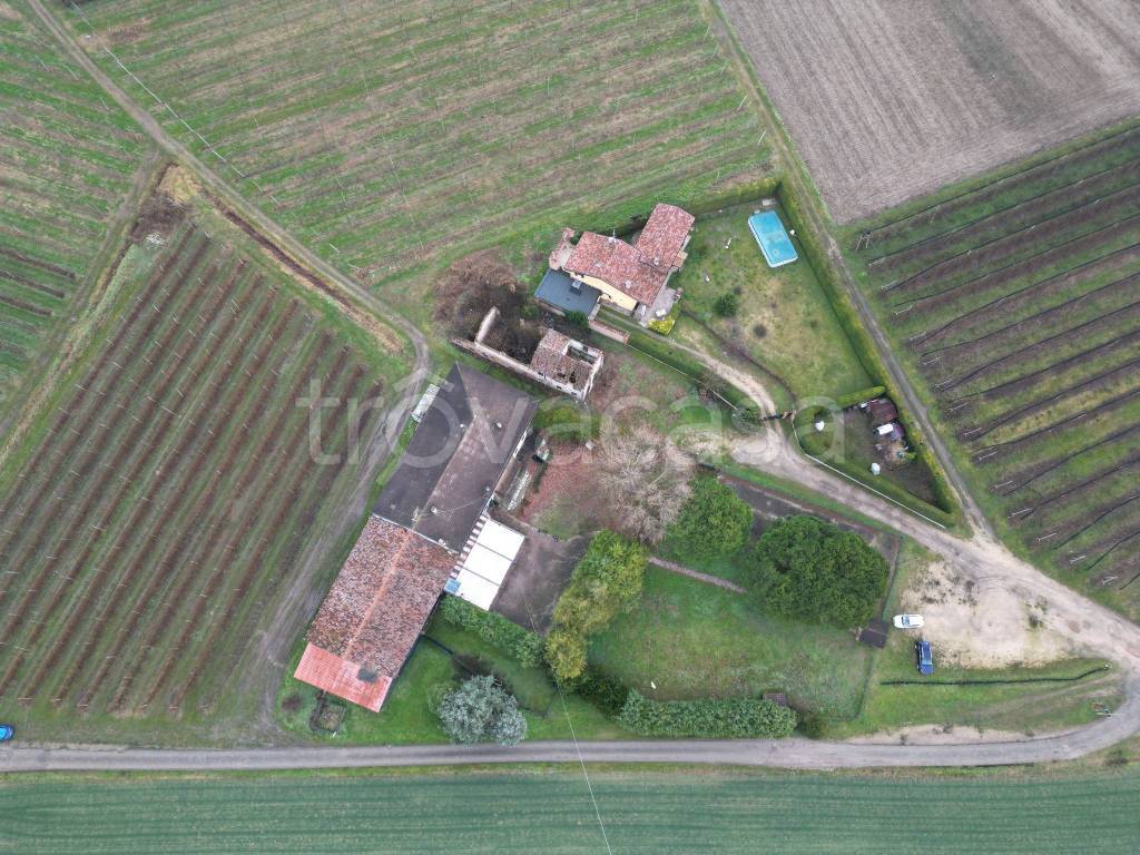 immagine annuncio 4 di 14