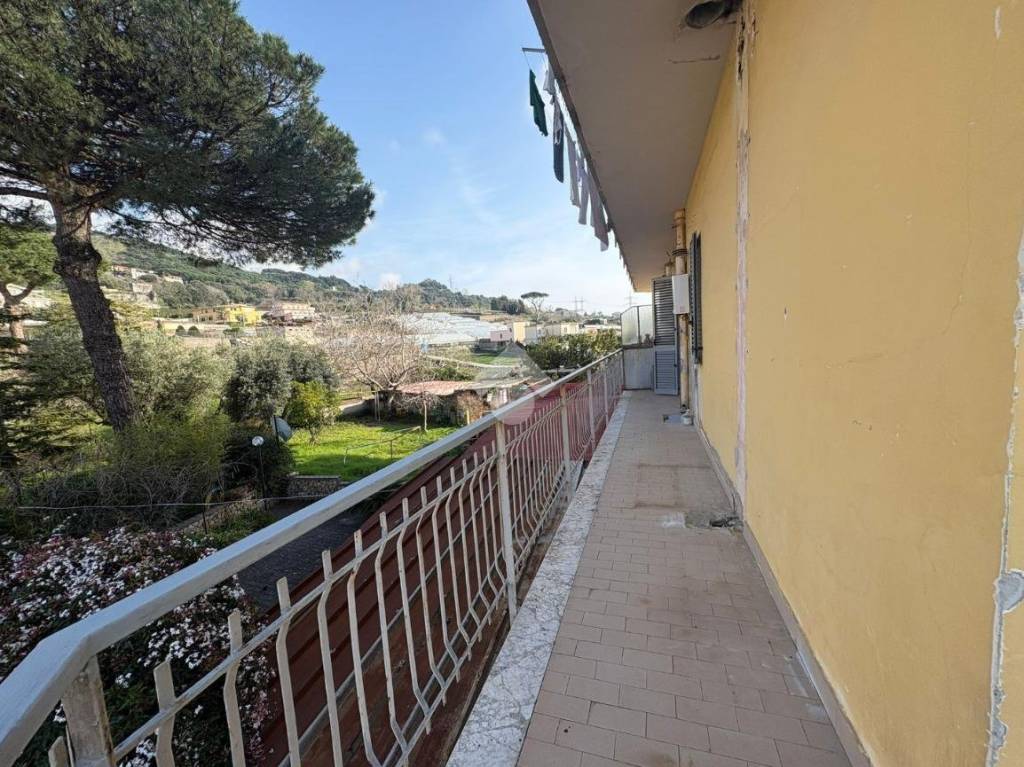 immagine annuncio 3 di 14