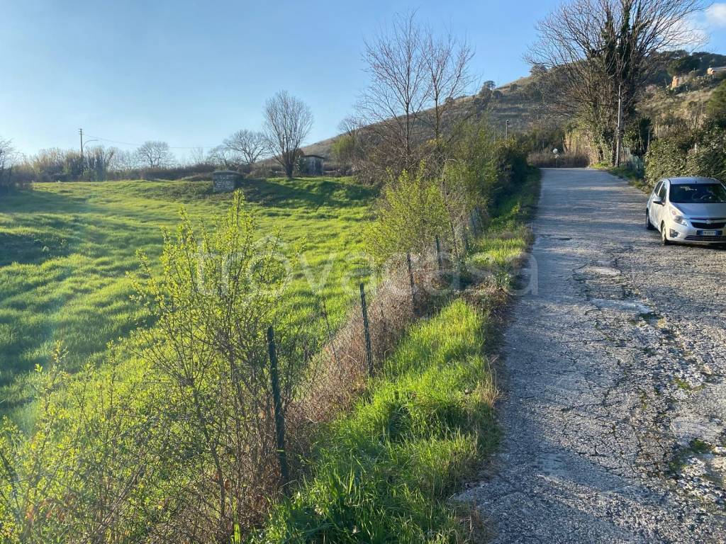 immagine annuncio 2 di 6