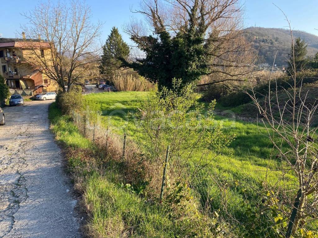 immagine annuncio 5 di 6