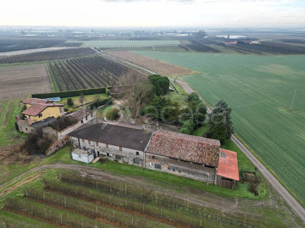 immagine annuncio 3 di 14