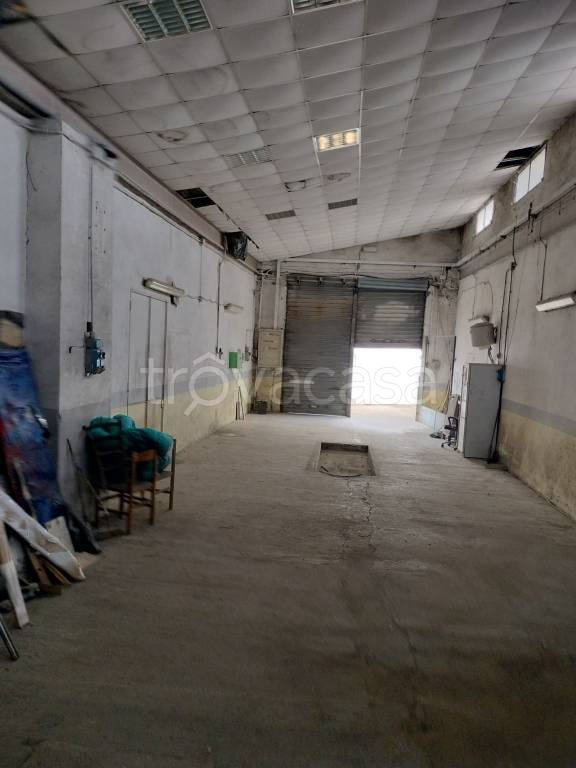 immagine annuncio 5 di 9