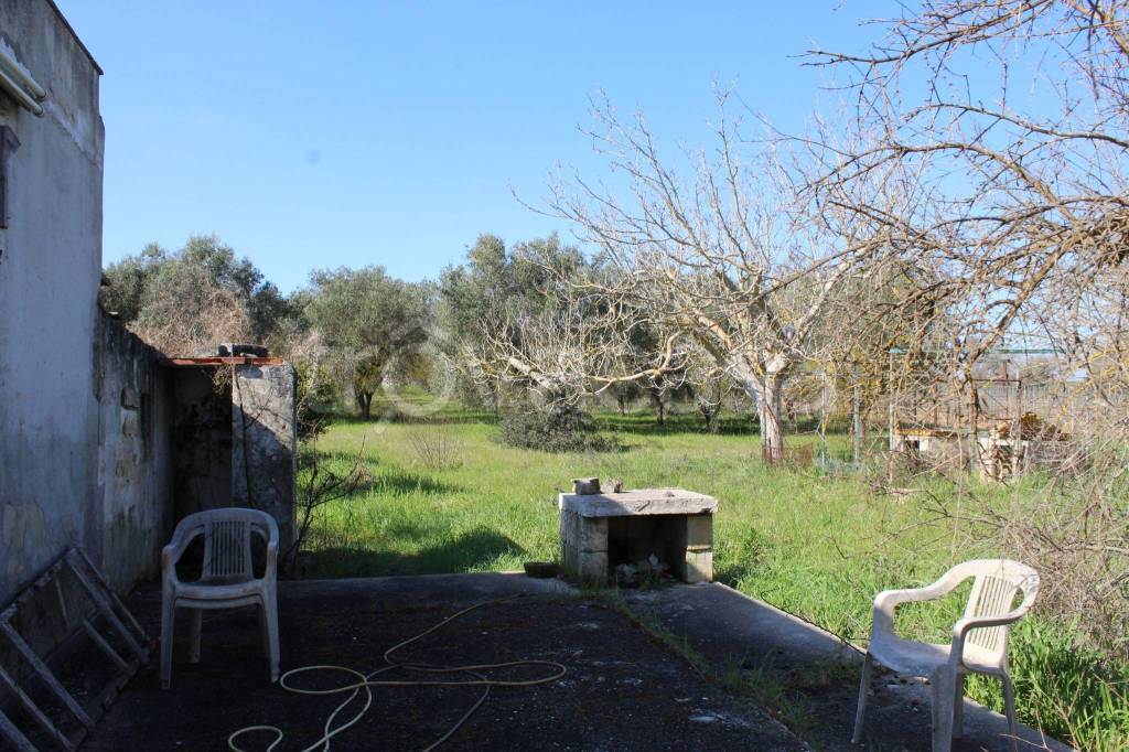 immagine annuncio 4 di 11