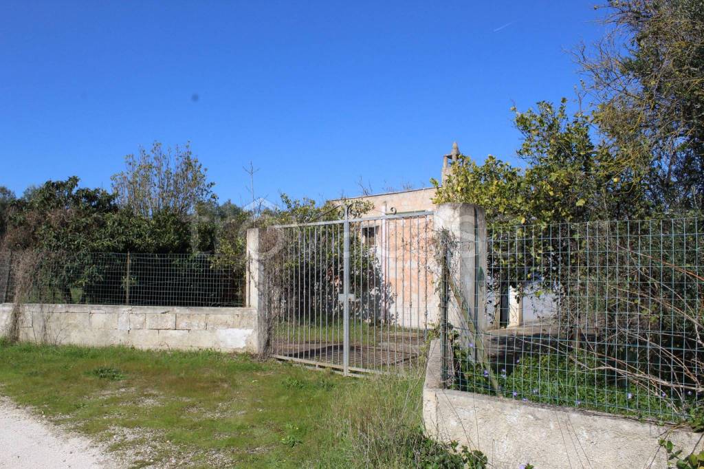 immagine annuncio 8 di 11