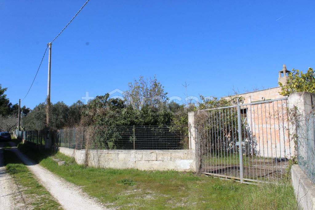 immagine annuncio 9 di 11