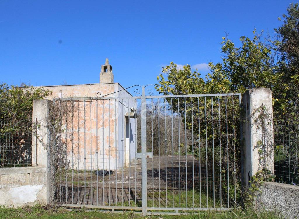 immagine annuncio 10 di 11