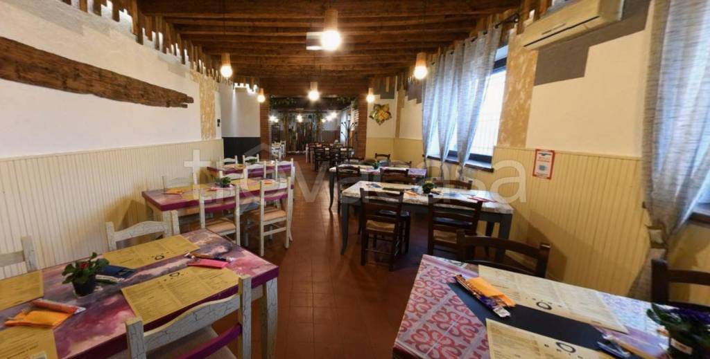 immagine annuncio 12 di 14