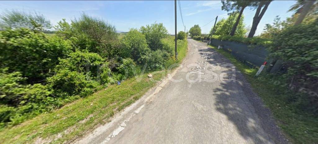 immagine annuncio 2 di 11