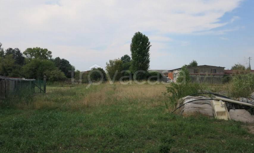 immagine annuncio 3 di 8