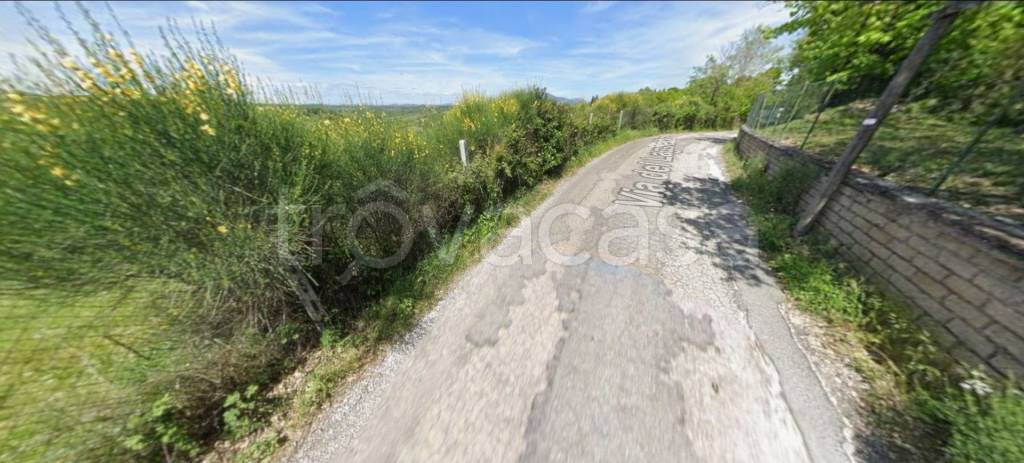 immagine annuncio 7 di 11