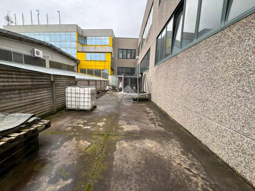 immagine annuncio 2 di 11