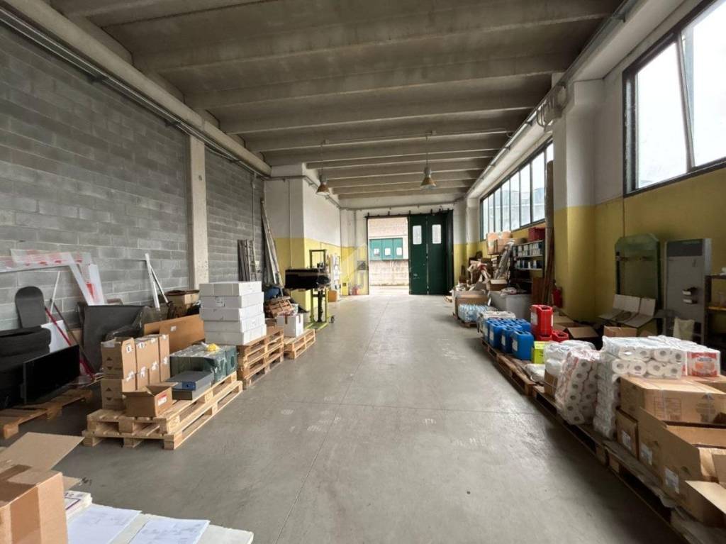 immagine annuncio 3 di 11