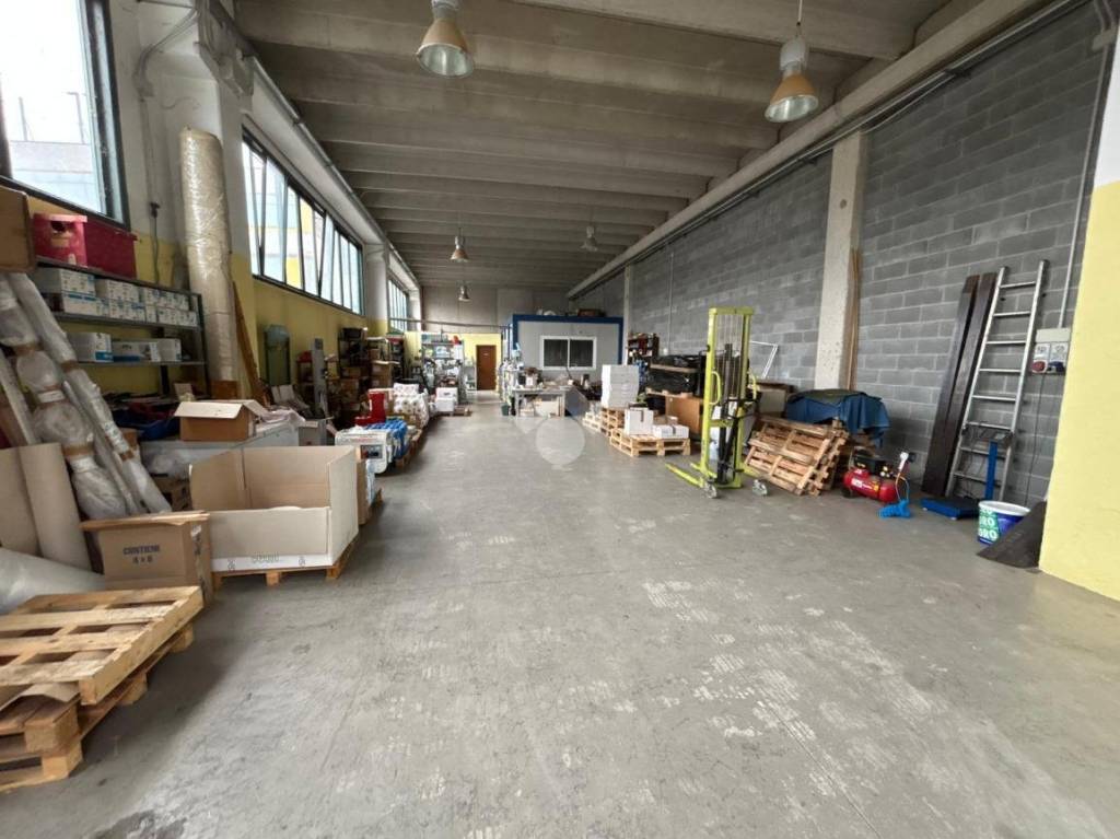 immagine annuncio 4 di 11