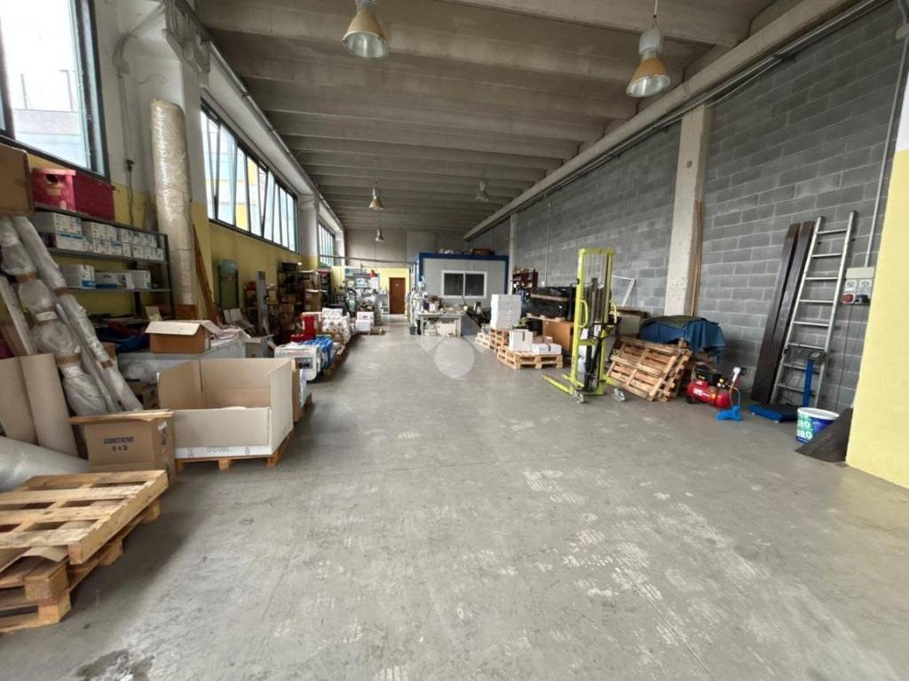 immagine annuncio 5 di 11