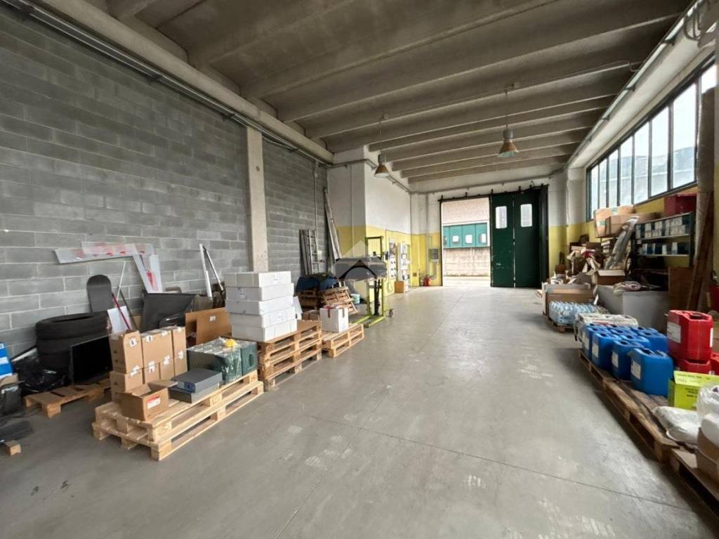 immagine annuncio 6 di 11