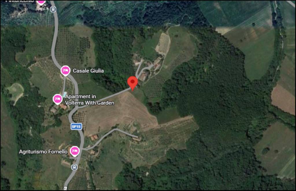 immagine annuncio 11 di 12