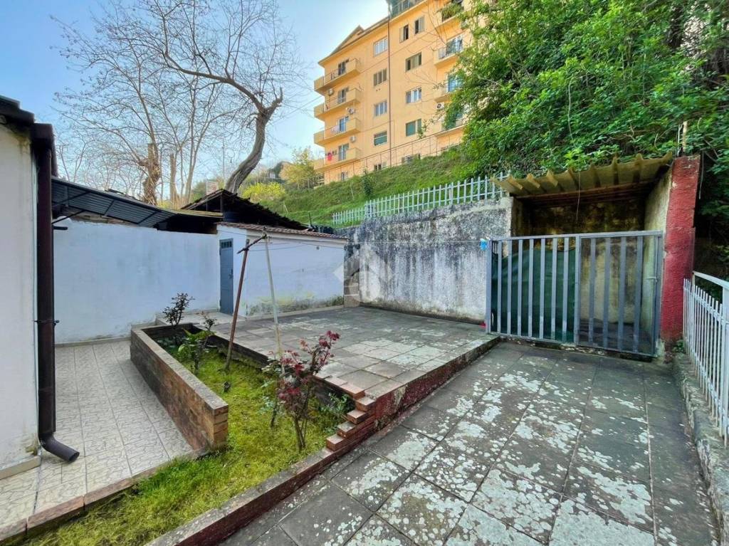 immagine annuncio 2 di 14