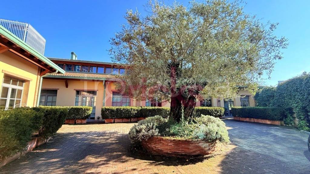 immagine annuncio 7 di 15