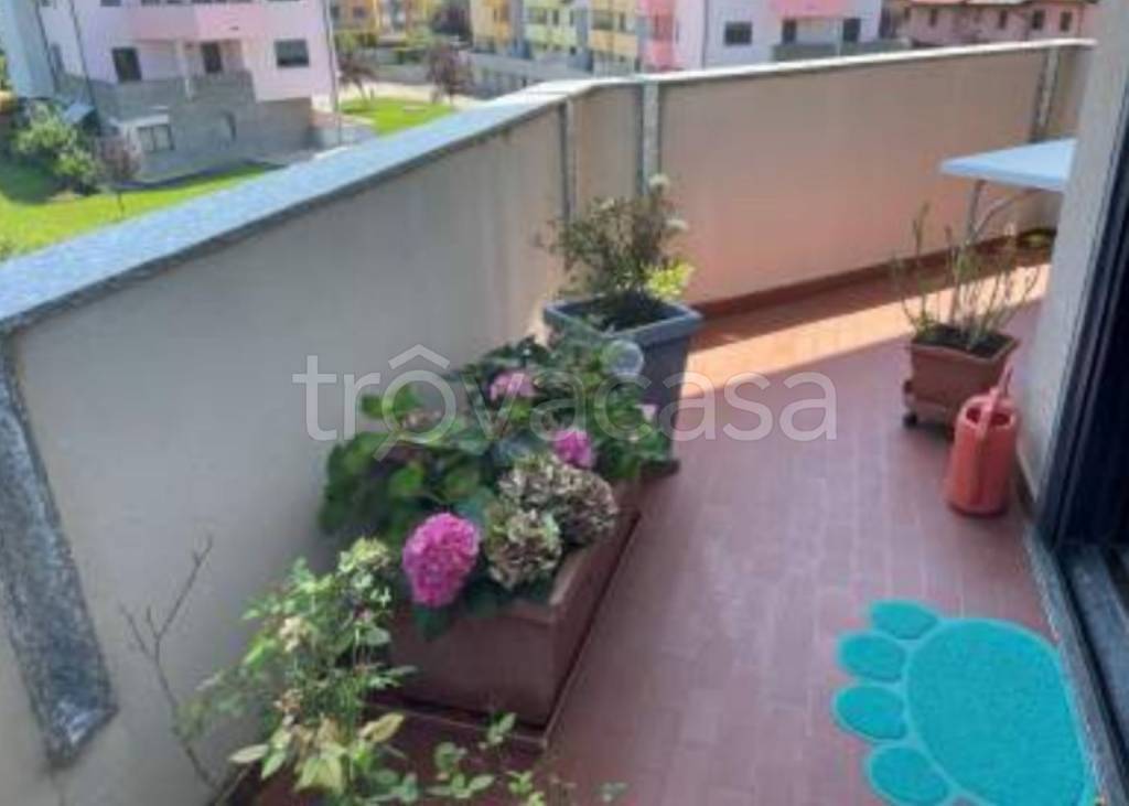 immagine annuncio 4 di 12