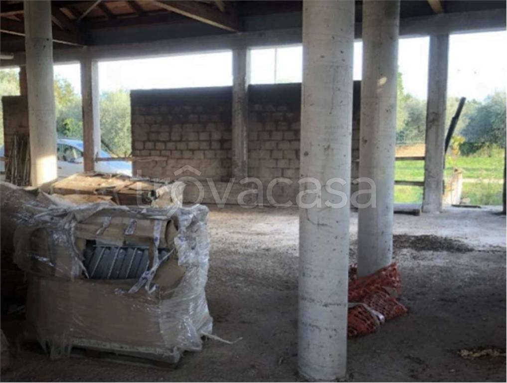 immagine annuncio 2 di 9