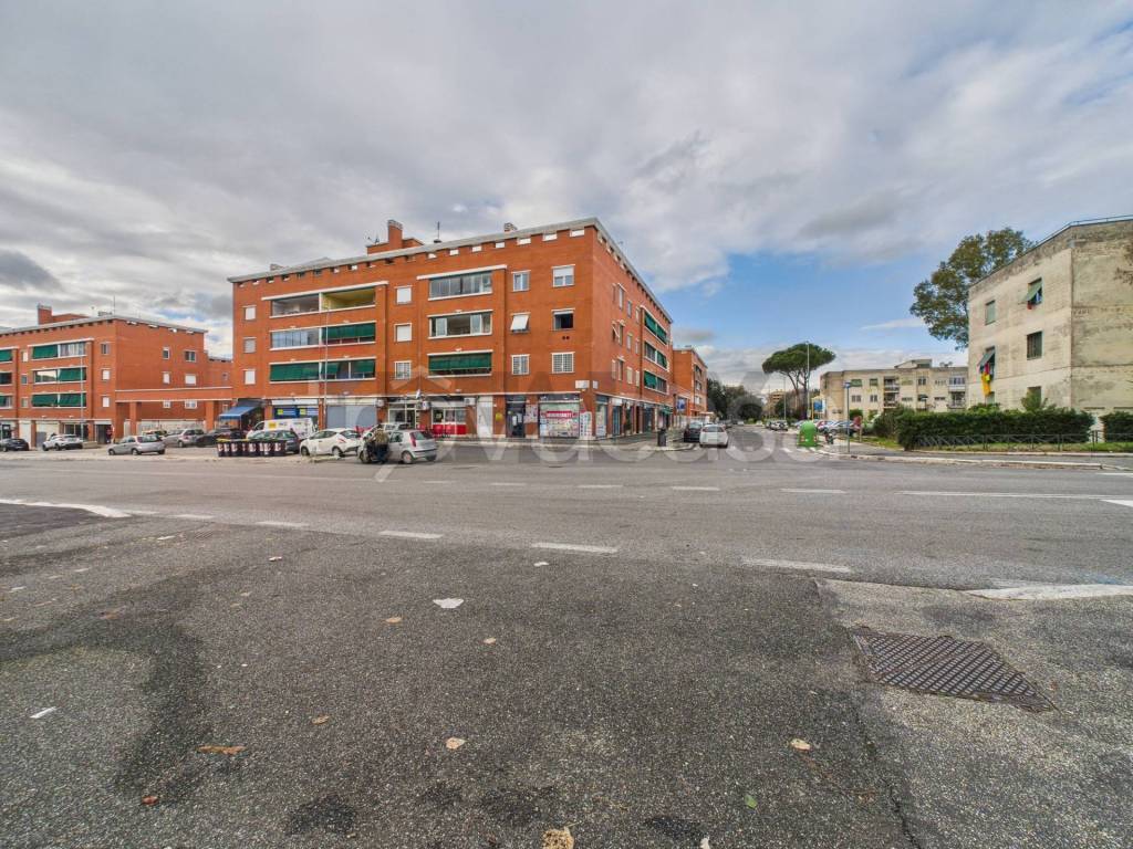 immagine annuncio 7 di 8