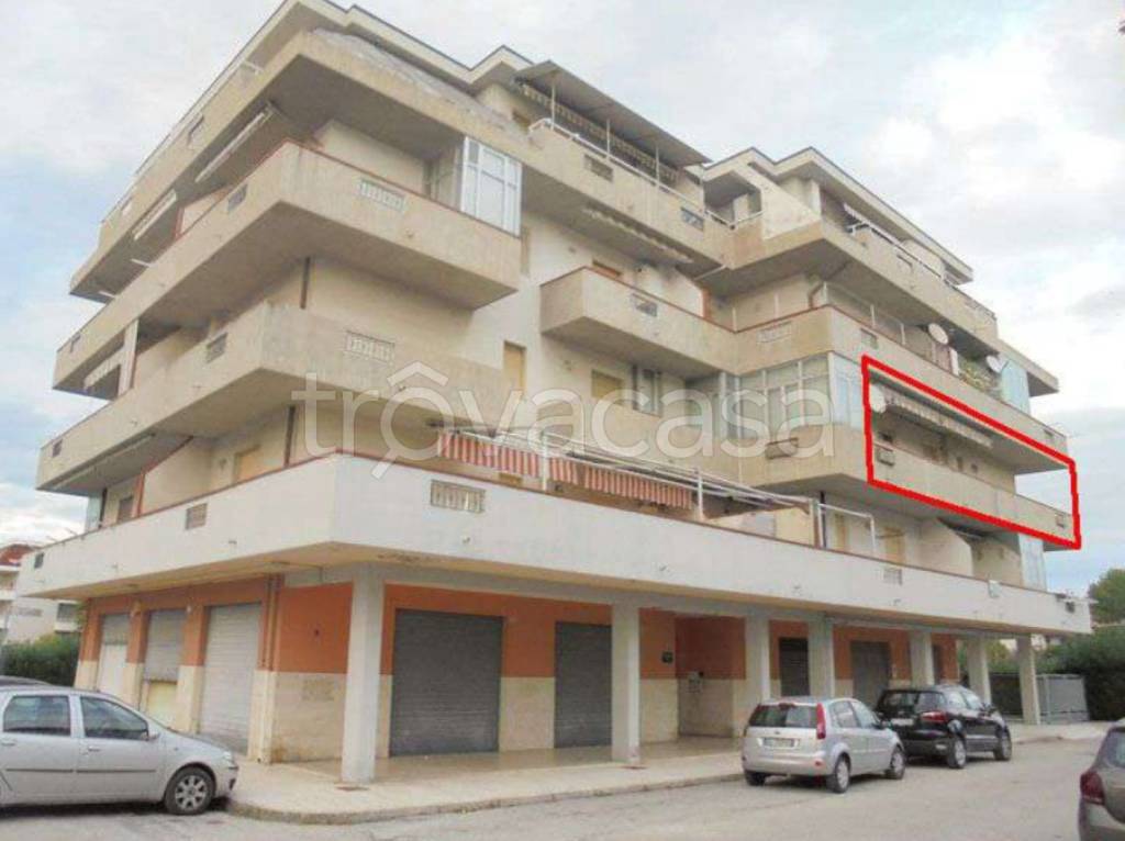 immagine annuncio 1 di 11