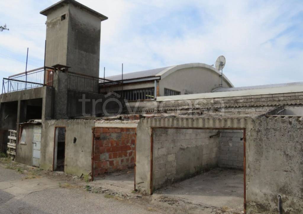 immagine annuncio 4 di 10