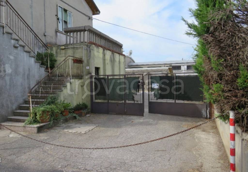 immagine annuncio 9 di 10