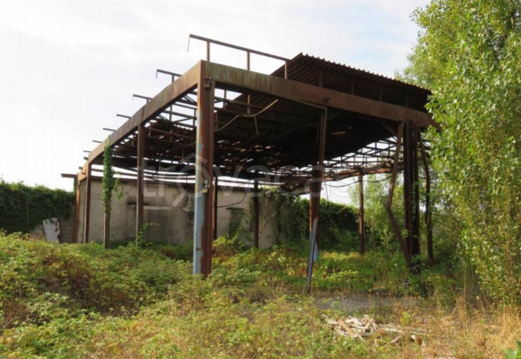 immagine annuncio 4 di 11