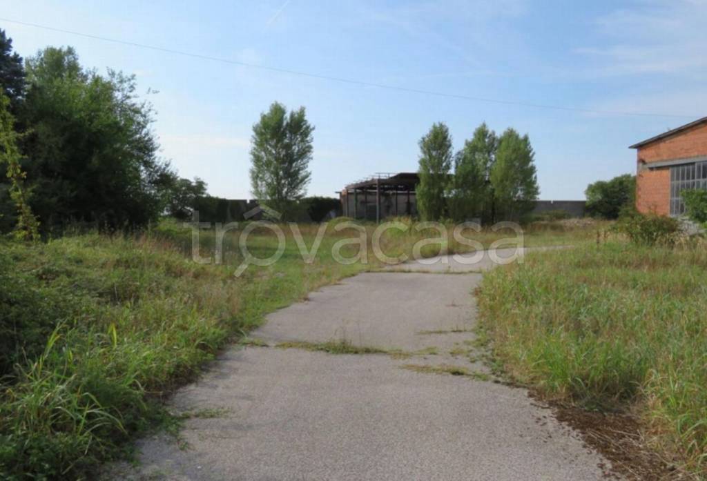 immagine annuncio 5 di 11