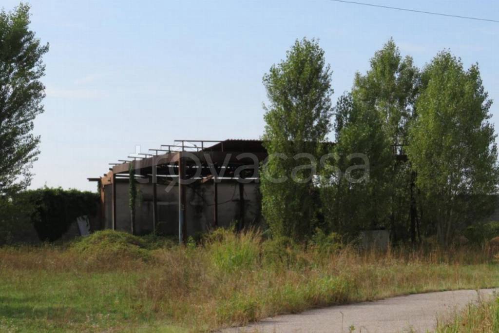 immagine annuncio 6 di 11