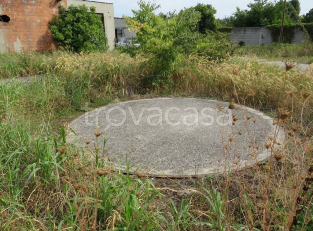 immagine annuncio 7 di 11