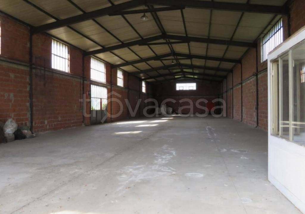 immagine annuncio 10 di 11