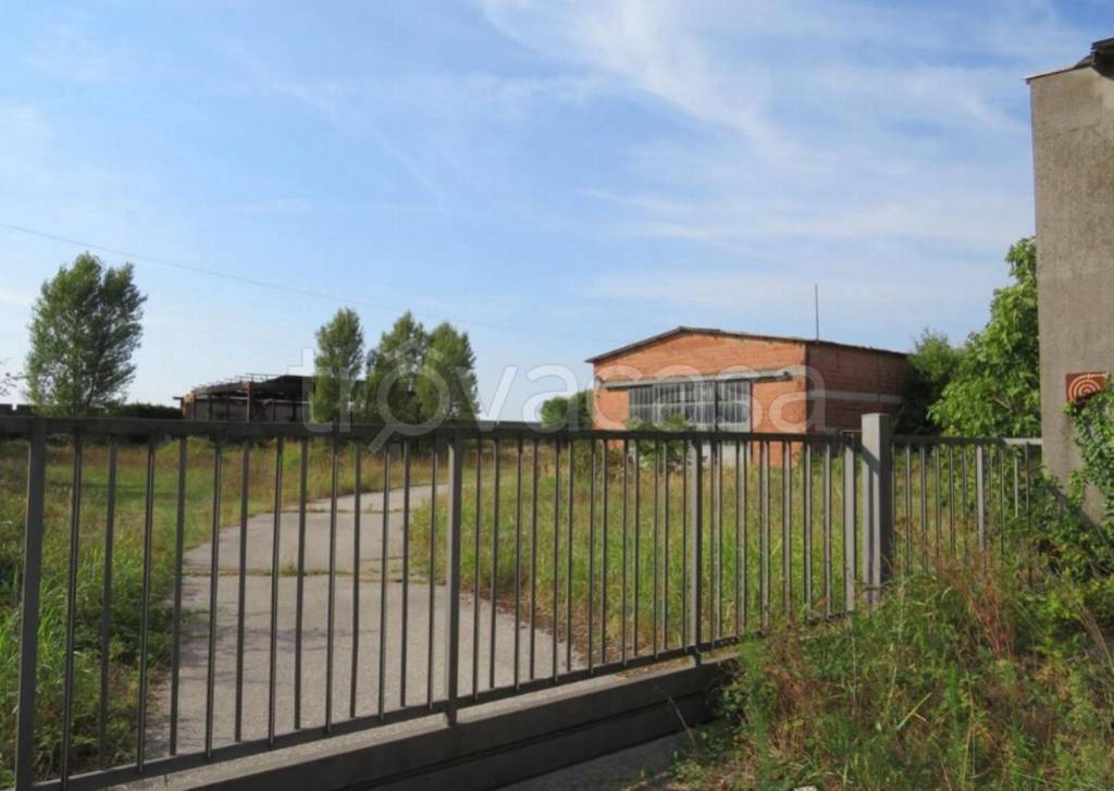 immagine annuncio 2 di 11