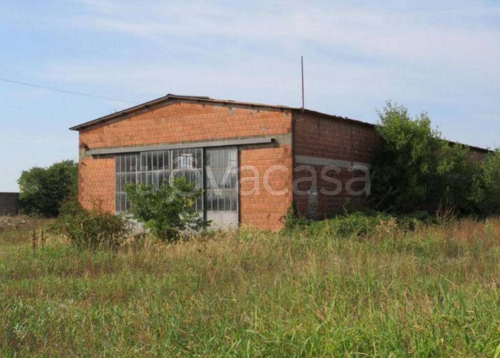 immagine annuncio 3 di 11