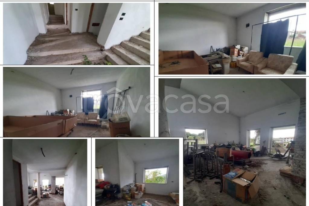 immagine annuncio 3 di 14