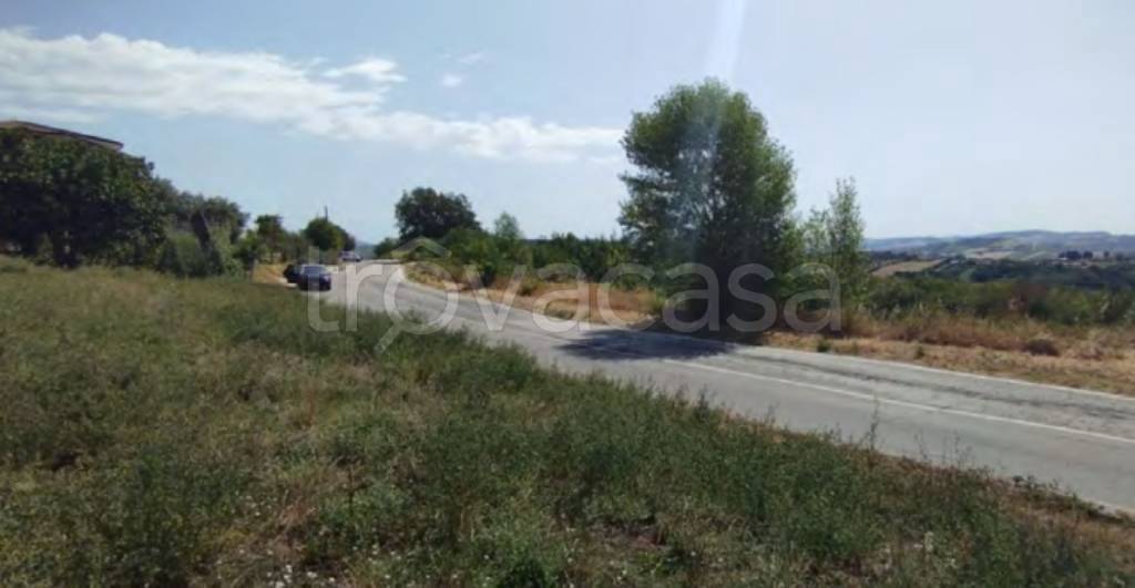 immagine annuncio 5 di 11