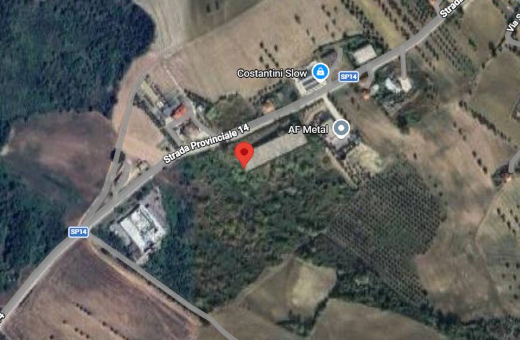 immagine annuncio 8 di 11