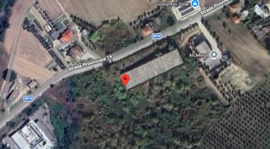 immagine annuncio 10 di 11