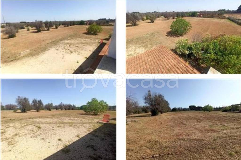 immagine annuncio 3 di 14